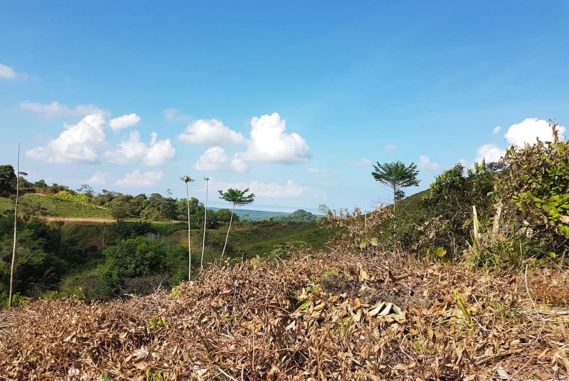 BUILDING PROPERTY WITH MOUNTAINS VIEWS, IN TORTUGA ARRIBA OJOCHAL – 1.14 ACRES, photo 20