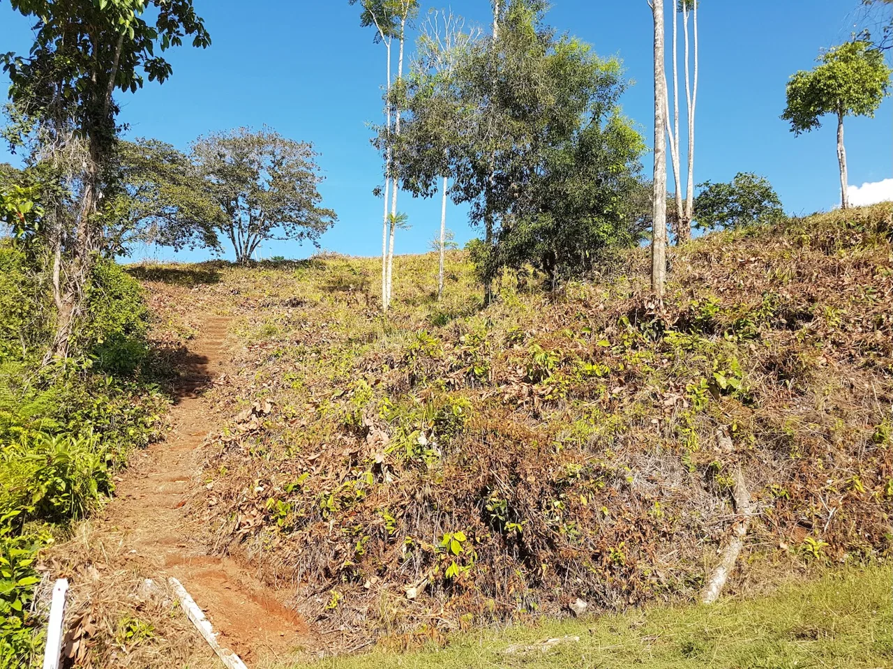 BUILDING PROPERTY WITH MOUNTAINS VIEWS, IN TORTUGA ARRIBA OJOCHAL – 1.14 ACRES, photo 3