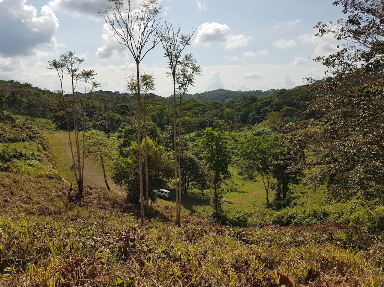 BUILDING PROPERTY WITH MOUNTAINS VIEWS, IN TORTUGA ARRIBA OJOCHAL – 1.14 ACRES, photo 21