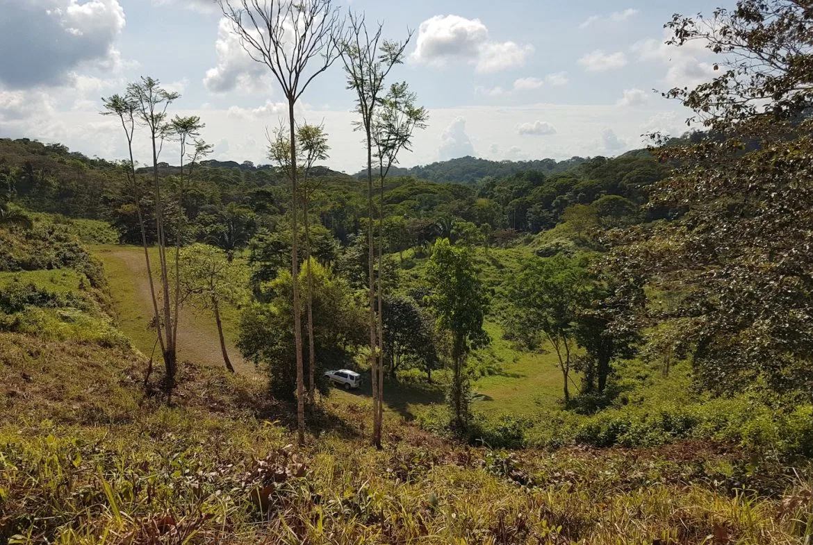 BUILDING PROPERTY WITH MOUNTAINS VIEWS, IN TORTUGA ARRIBA OJOCHAL – 1.14 ACRES, photo 22