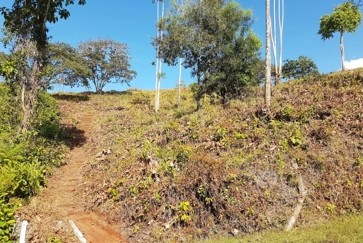 BUILDING PROPERTY WITH MOUNTAINS VIEWS, IN TORTUGA ARRIBA OJOCHAL – 1.14 ACRES, photo 4