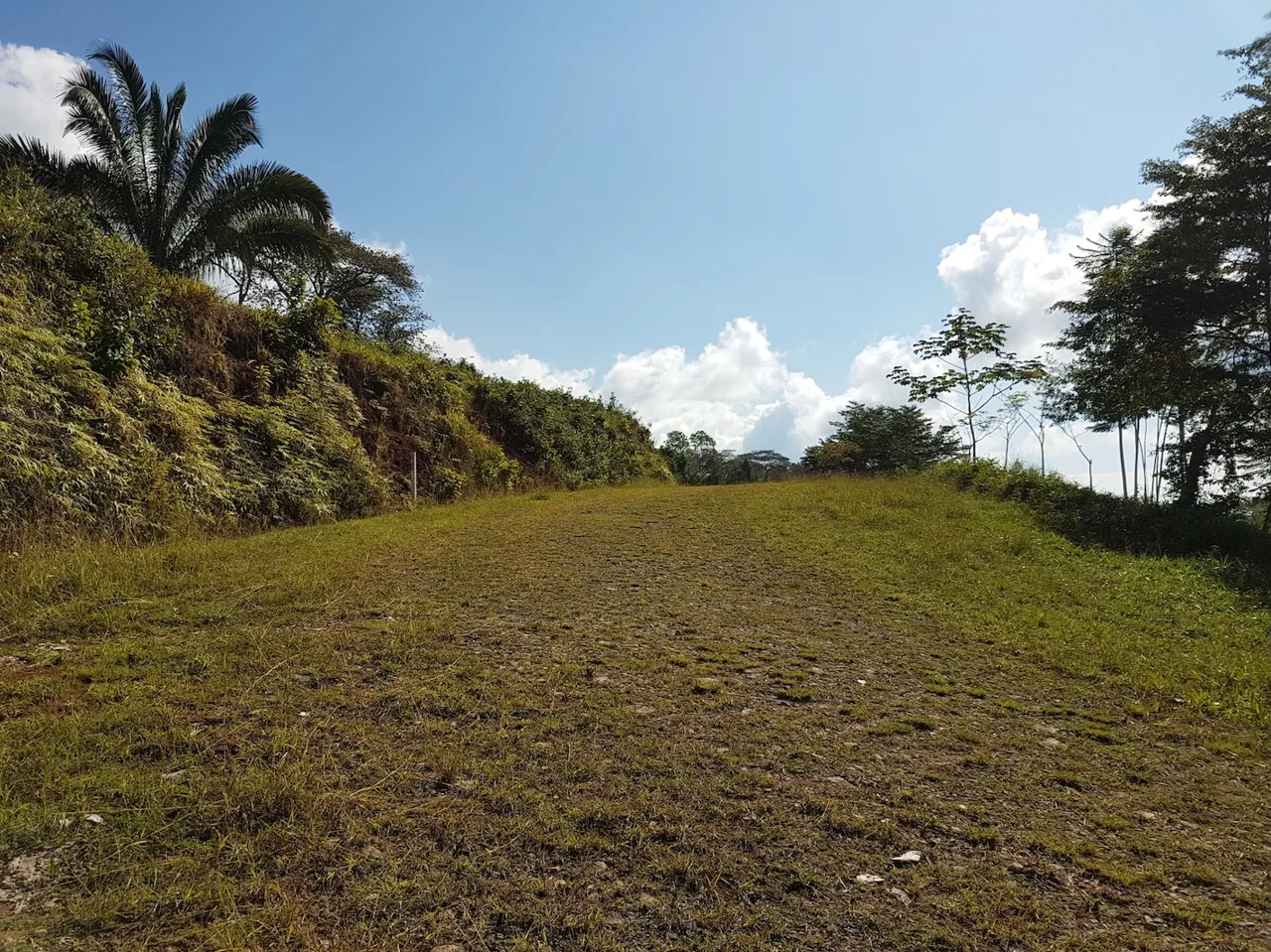BUILDING PROPERTY WITH MOUNTAINS VIEWS, IN TORTUGA ARRIBA OJOCHAL – 1.14 ACRES, photo 5