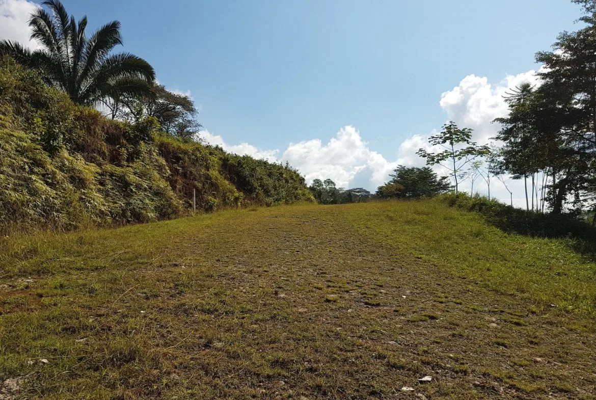 BUILDING PROPERTY WITH MOUNTAINS VIEWS, IN TORTUGA ARRIBA OJOCHAL – 1.14 ACRES, photo 6