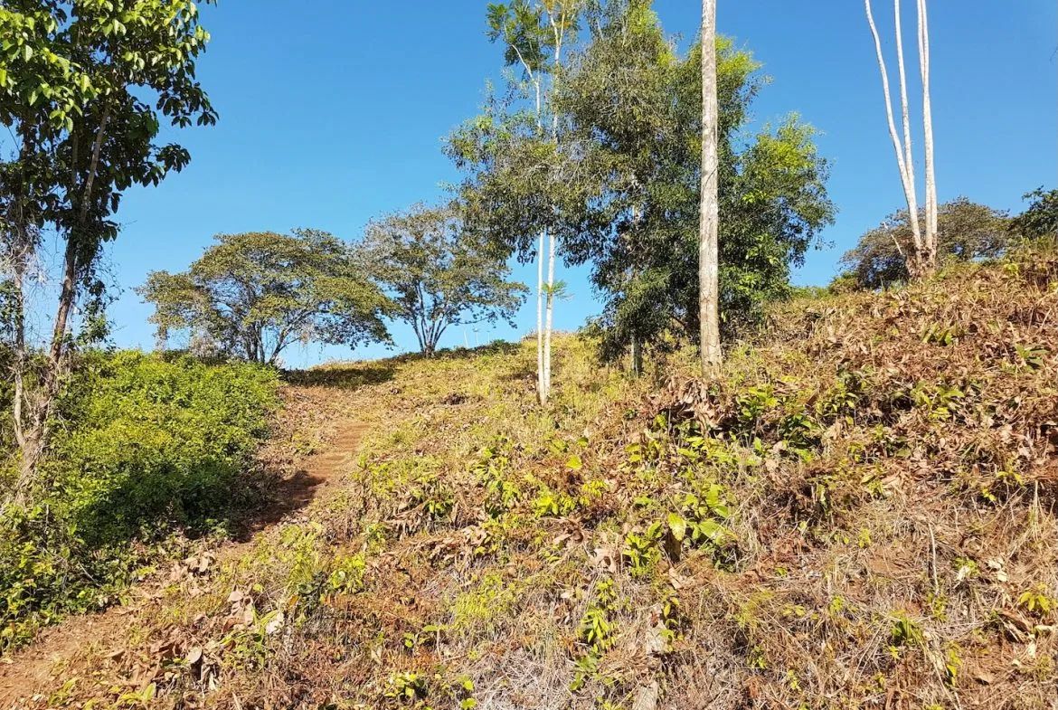 BUILDING PROPERTY WITH MOUNTAINS VIEWS, IN TORTUGA ARRIBA OJOCHAL – 1.14 ACRES, photo 8