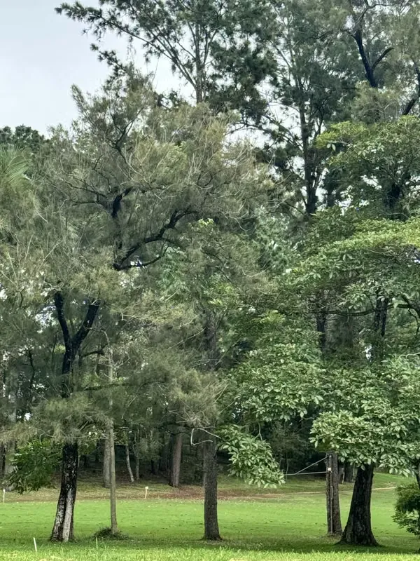 LOT FOR SALE IN HACIENDA LOS REYES, photo 7
