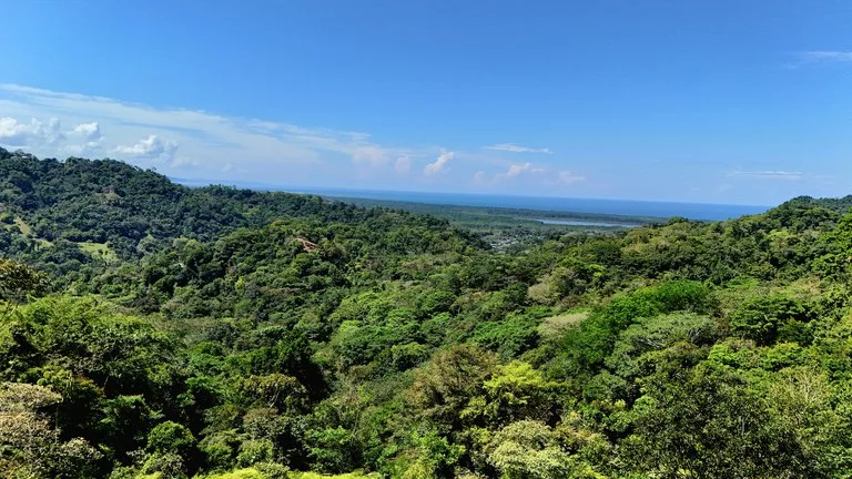 Ocean View Property with River & Waterfall Access – Tres Ríos de Osa, photo 14