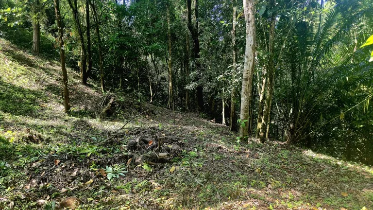 Ocean View Property with River & Waterfall Access – Tres Ríos de Osa, photo 15