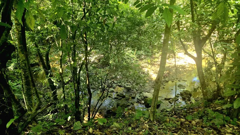Ocean View Property with River & Waterfall Access – Tres Ríos de Osa, photo 8