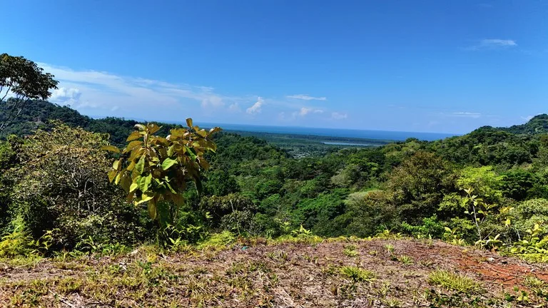 Ocean View Property with River & Waterfall Access – Tres Ríos de Osa, photo 9