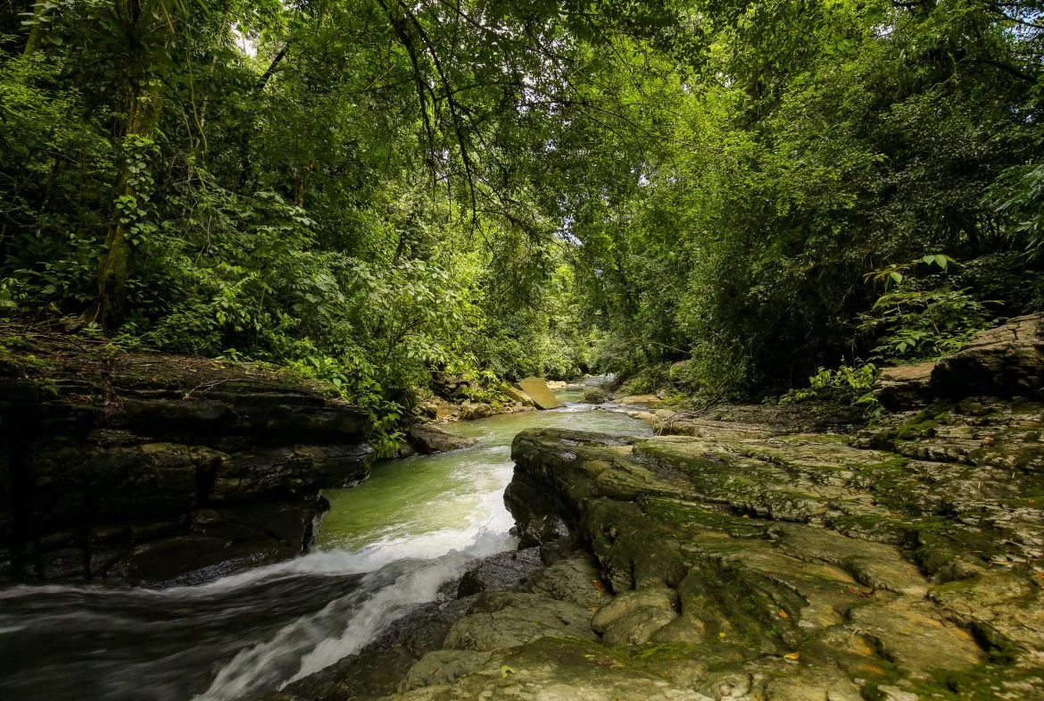 “THE FARM OF THE SECRET STONE” WITH WATER SPRINGS, FULL RIVER ACCESS AND SWIMMING HOLES – 191 ACRES, photo 2