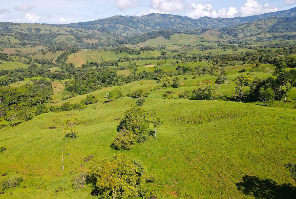 “THE FARM OF THE SECRET STONE” WITH WATER SPRINGS, FULL RIVER ACCESS AND SWIMMING HOLES – 191 ACRES, photo 12