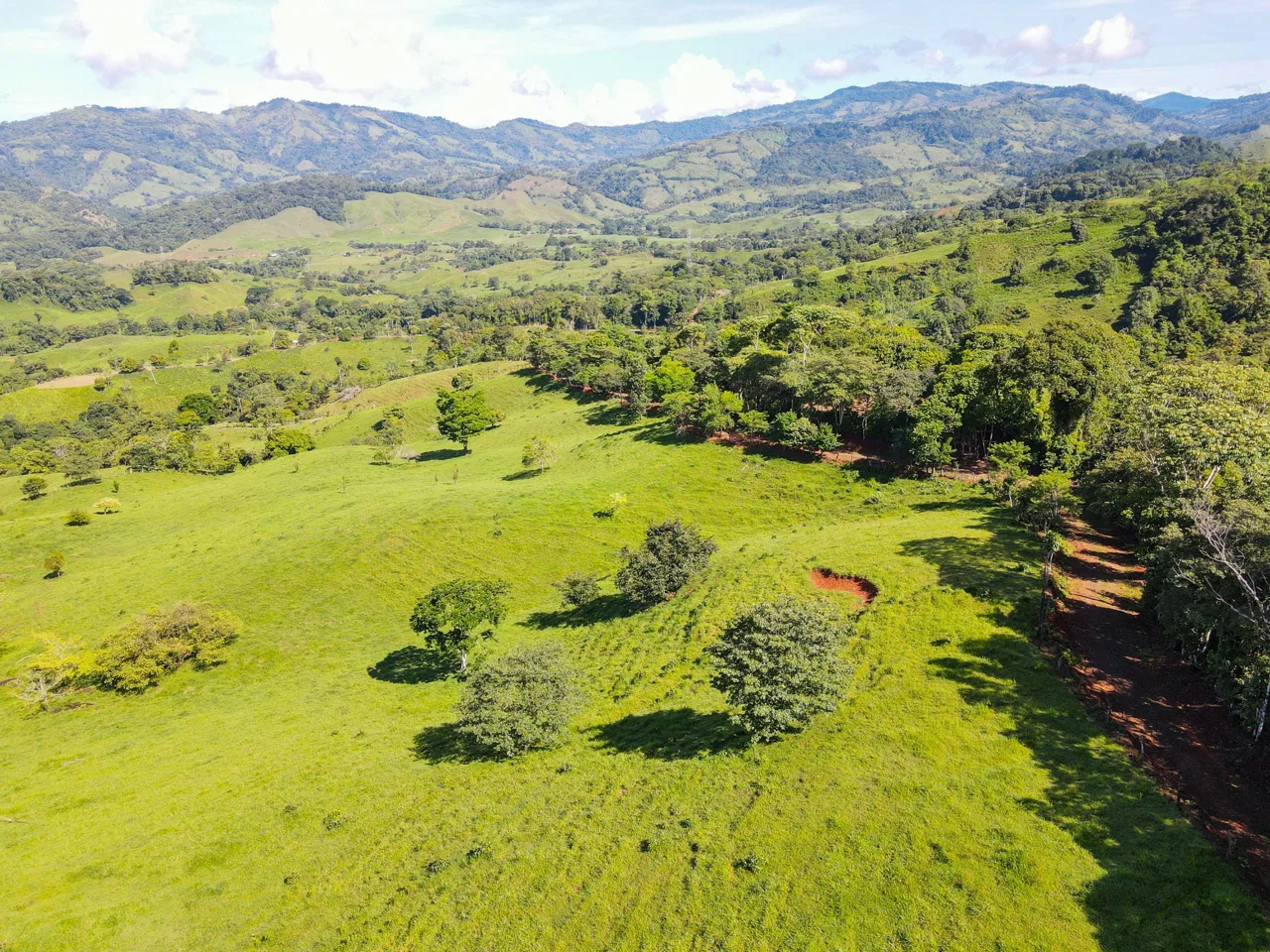 “THE FARM OF THE SECRET STONE” WITH WATER SPRINGS, FULL RIVER ACCESS AND SWIMMING HOLES – 191 ACRES, photo 15