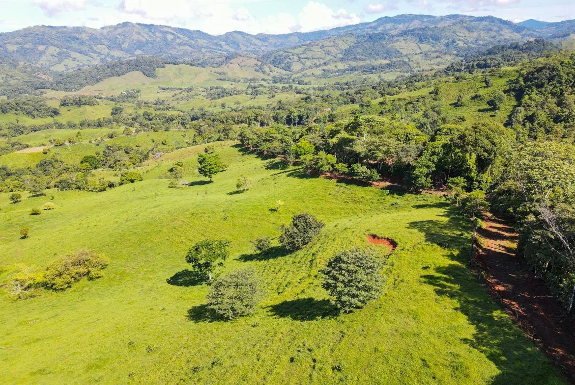 “THE FARM OF THE SECRET STONE” WITH WATER SPRINGS, FULL RIVER ACCESS AND SWIMMING HOLES – 191 ACRES, photo 16