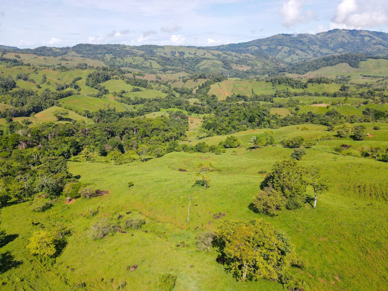 “THE FARM OF THE SECRET STONE” WITH WATER SPRINGS, FULL RIVER ACCESS AND SWIMMING HOLES – 191 ACRES, photo 17