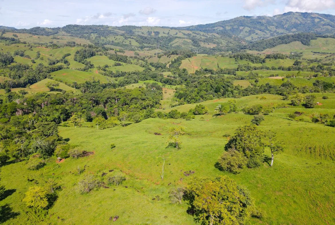 “THE FARM OF THE SECRET STONE” WITH WATER SPRINGS, FULL RIVER ACCESS AND SWIMMING HOLES – 191 ACRES, photo 18