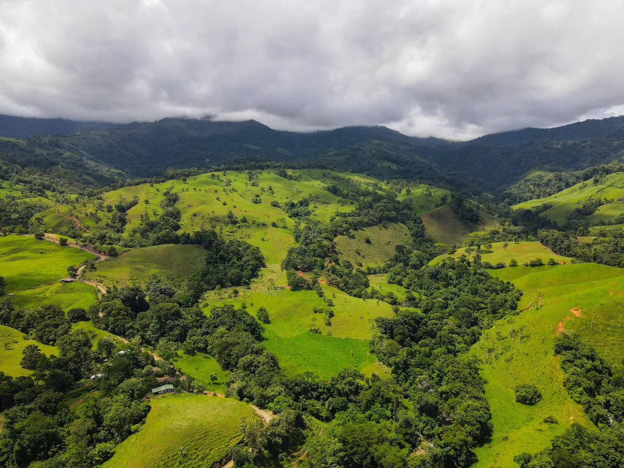 “THE FARM OF THE SECRET STONE” WITH WATER SPRINGS, FULL RIVER ACCESS AND SWIMMING HOLES – 191 ACRES, photo 21