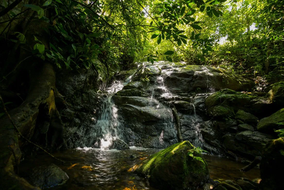 “THE FARM OF THE SECRET STONE” WITH WATER SPRINGS, FULL RIVER ACCESS AND SWIMMING HOLES – 191 ACRES, photo 4
