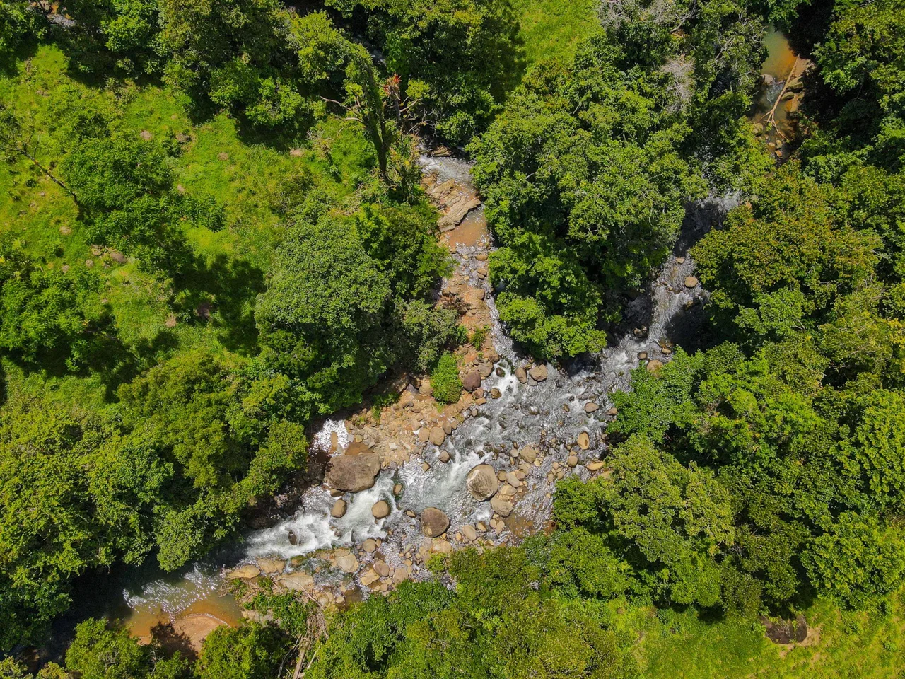 “THE FARM OF THE SECRET STONE” WITH WATER SPRINGS, FULL RIVER ACCESS AND SWIMMING HOLES – 191 ACRES, photo 5