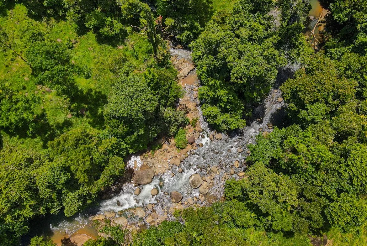 “THE FARM OF THE SECRET STONE” WITH WATER SPRINGS, FULL RIVER ACCESS AND SWIMMING HOLES – 191 ACRES, photo 6