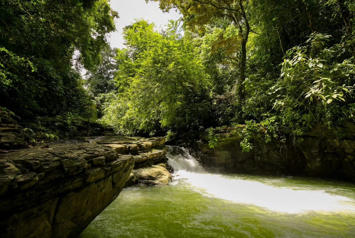 “THE FARM OF THE SECRET STONE” WITH WATER SPRINGS, FULL RIVER ACCESS AND SWIMMING HOLES – 191 ACRES, photo 8