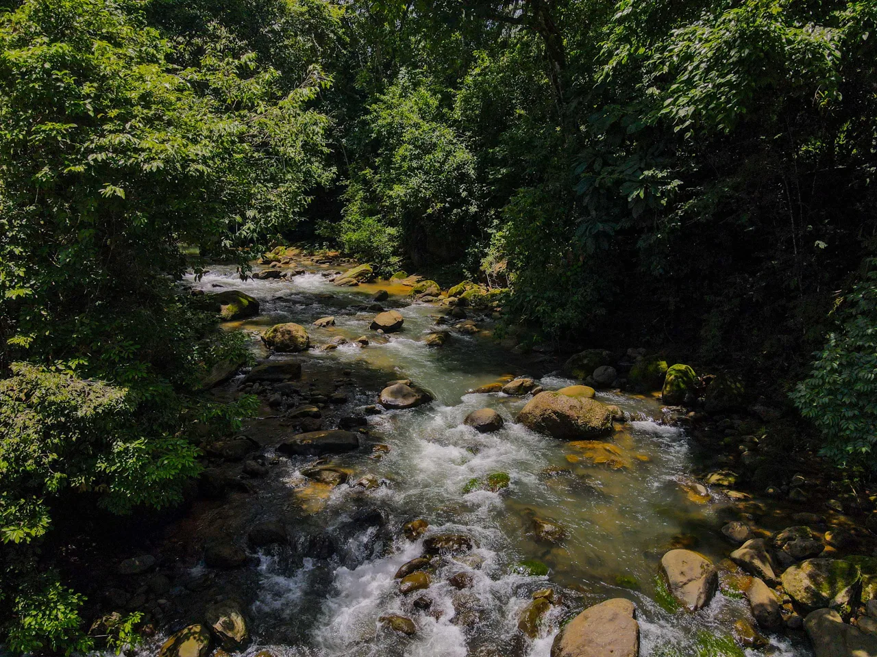 “THE FARM OF THE SECRET STONE” WITH WATER SPRINGS, FULL RIVER ACCESS AND SWIMMING HOLES – 191 ACRES, photo 9