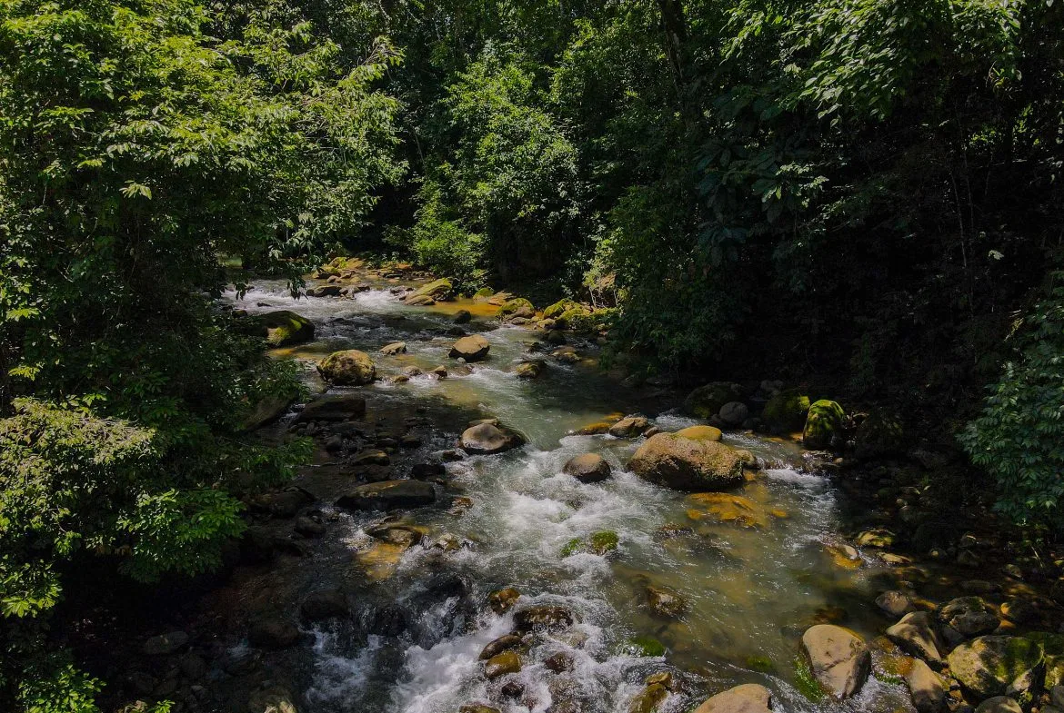 “THE FARM OF THE SECRET STONE” WITH WATER SPRINGS, FULL RIVER ACCESS AND SWIMMING HOLES – 191 ACRES, photo 10