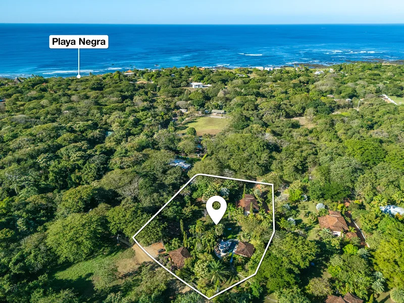 7 Bed Single Family Homes For Sale in Playa Negra