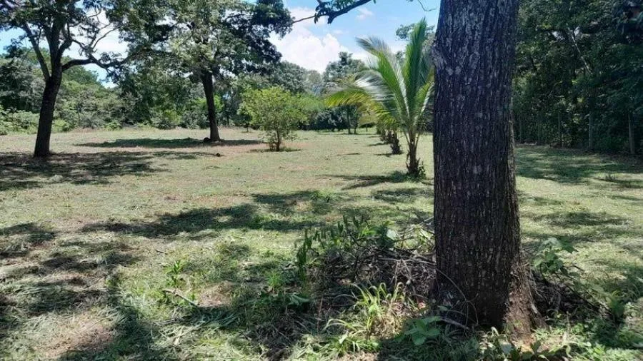 MLS-26-1028 LS VENTA LOTE OROTINA ALAJUELA - Venta en Orotina