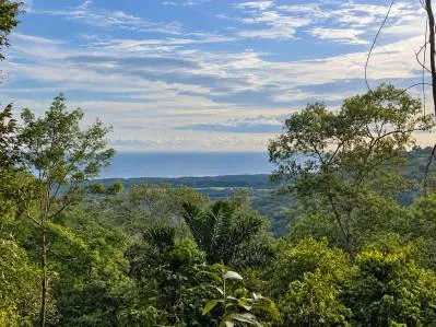 Terreno en la cima de la montaña con vista al océano y una reserva natural de 649 acres. (Portasol)