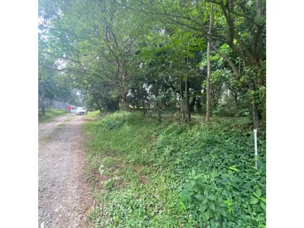 DETAILED DESCRIPTION: flat topography lot, surrounded by green areas with mixed soil ...