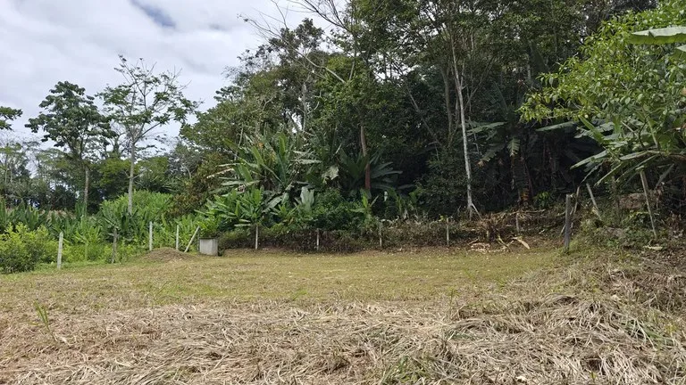 500sqm Lot in Cahuita with Well - Fenced, Filled, Leveled and Ready to Build, photo 2