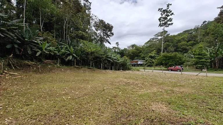 500sqm Lot in Cahuita with Well - Fenced, Filled, Leveled and Ready to Build, photo 5