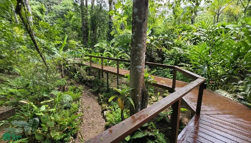 Boutique Jungle River Resort with Pool, Restaurant, Puntarenas, Puntarenas 60501