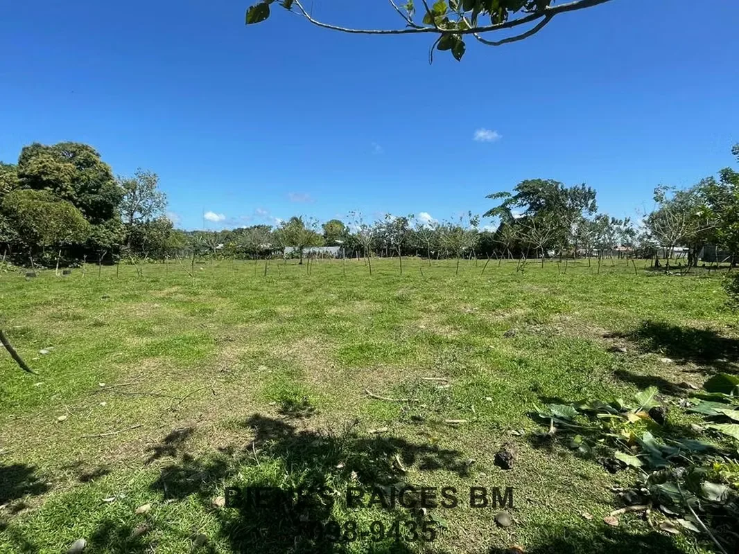Se Vende Lote en Horquetas de Sarapiquí (Finca 6), photo 11
