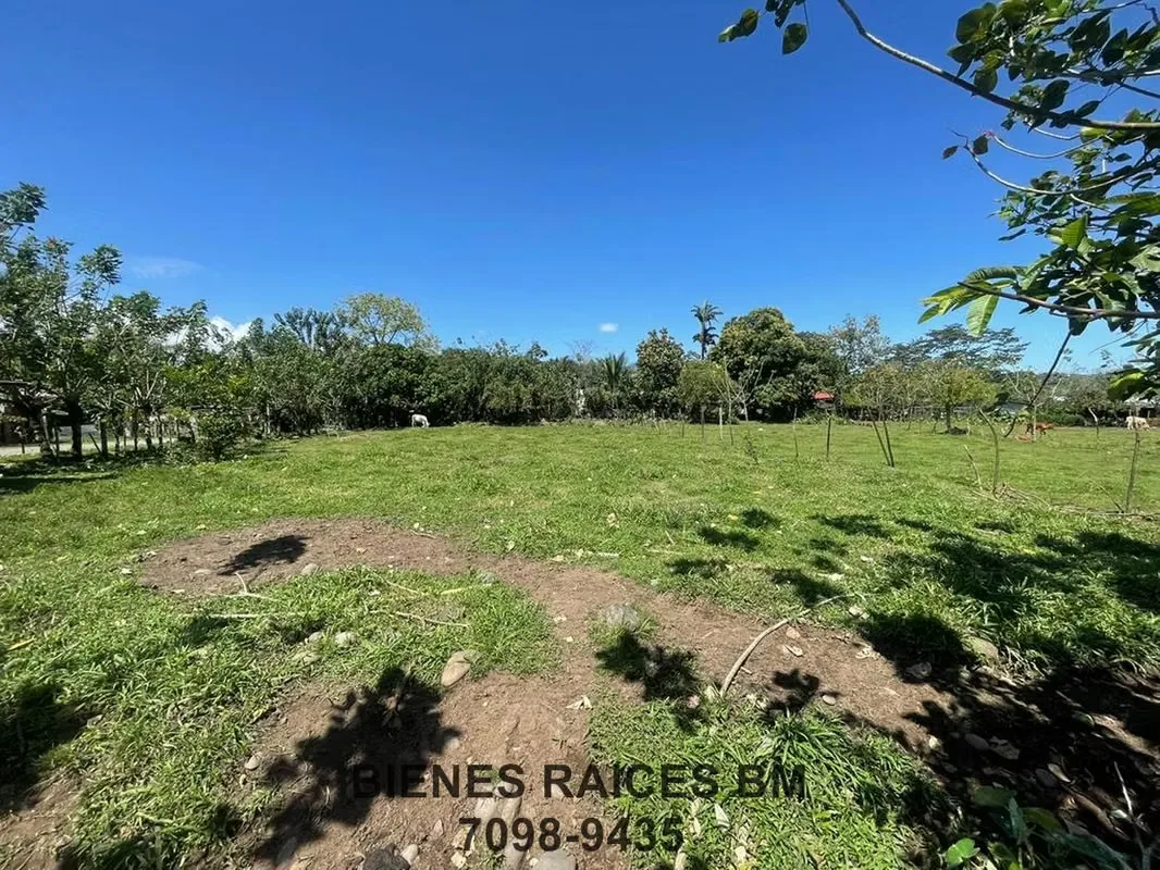 Se Vende Lote en Horquetas de Sarapiquí (Finca 6), photo 5