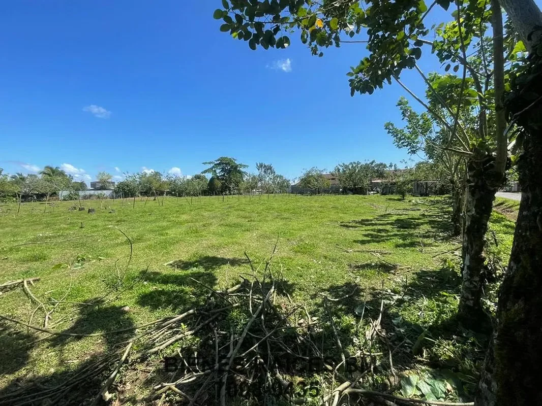 Se Vende Lote en Horquetas de Sarapiquí (Finca 6), photo 6