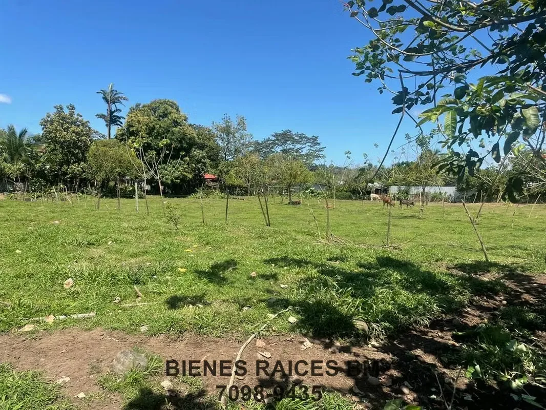 Se Vende Lote en Horquetas de Sarapiquí (Finca 6), photo 7