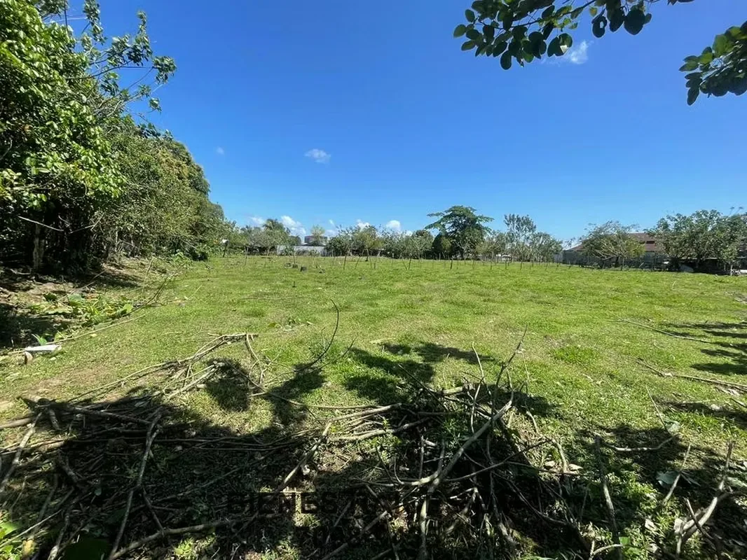 Se Vende Lote en Horquetas de Sarapiquí (Finca 6), photo 8