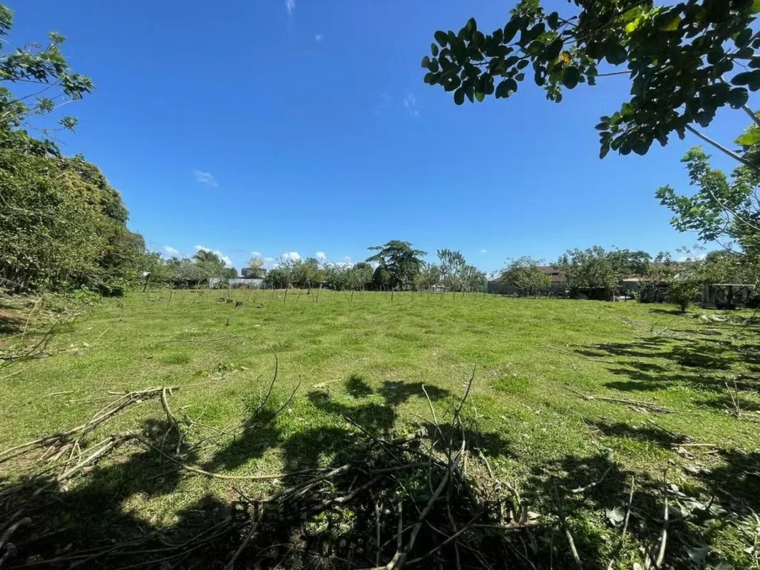 Se Vende Lote en Horquetas de Sarapiquí (Finca 6), photo 9