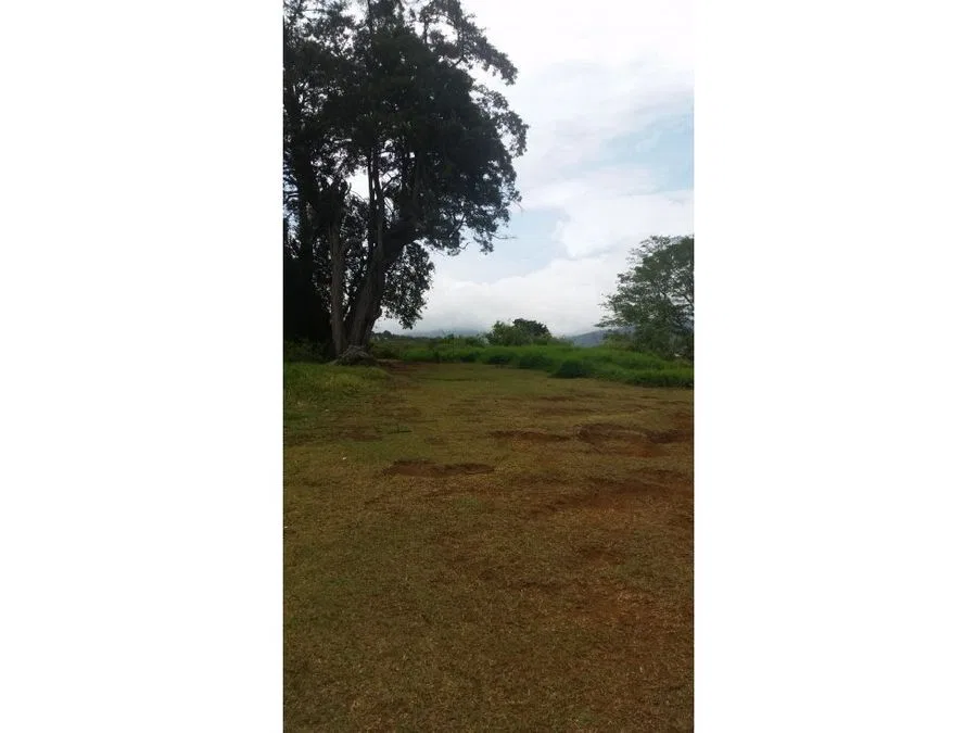 VENTA DE FINCA, HEREDIA, SAN ISIDRO, photo 2