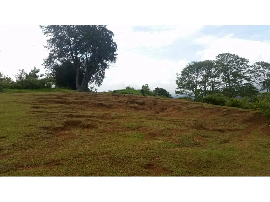VENTA DE FINCA, HEREDIA, SAN ISIDRO, photo 7