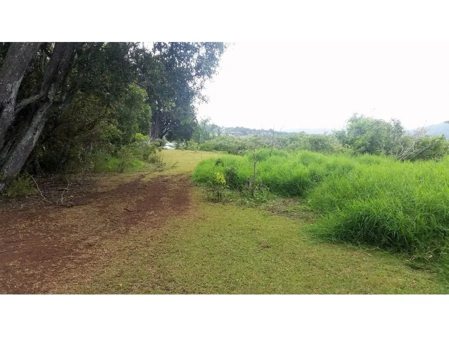 VENTA DE FINCA, HEREDIA, SAN ISIDRO, photo 8