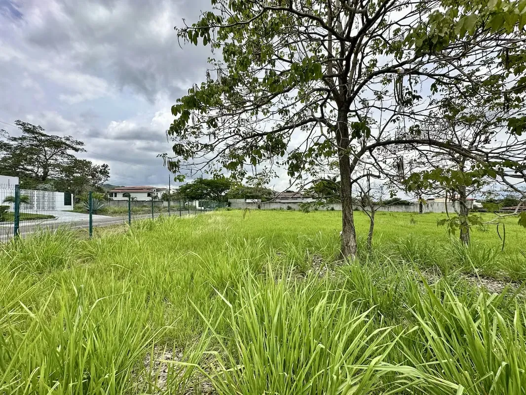 Lot for Sale in La Caraña – Santa Ana, photo 5