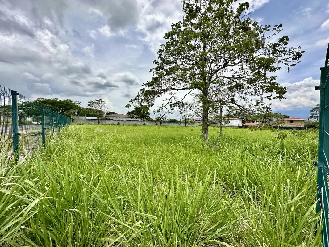 Lot for Sale in La Caraña – Santa Ana, photo 6