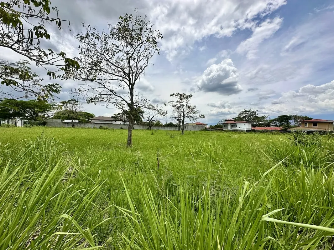 Lot for Sale in La Caraña – Santa Ana, photo 7