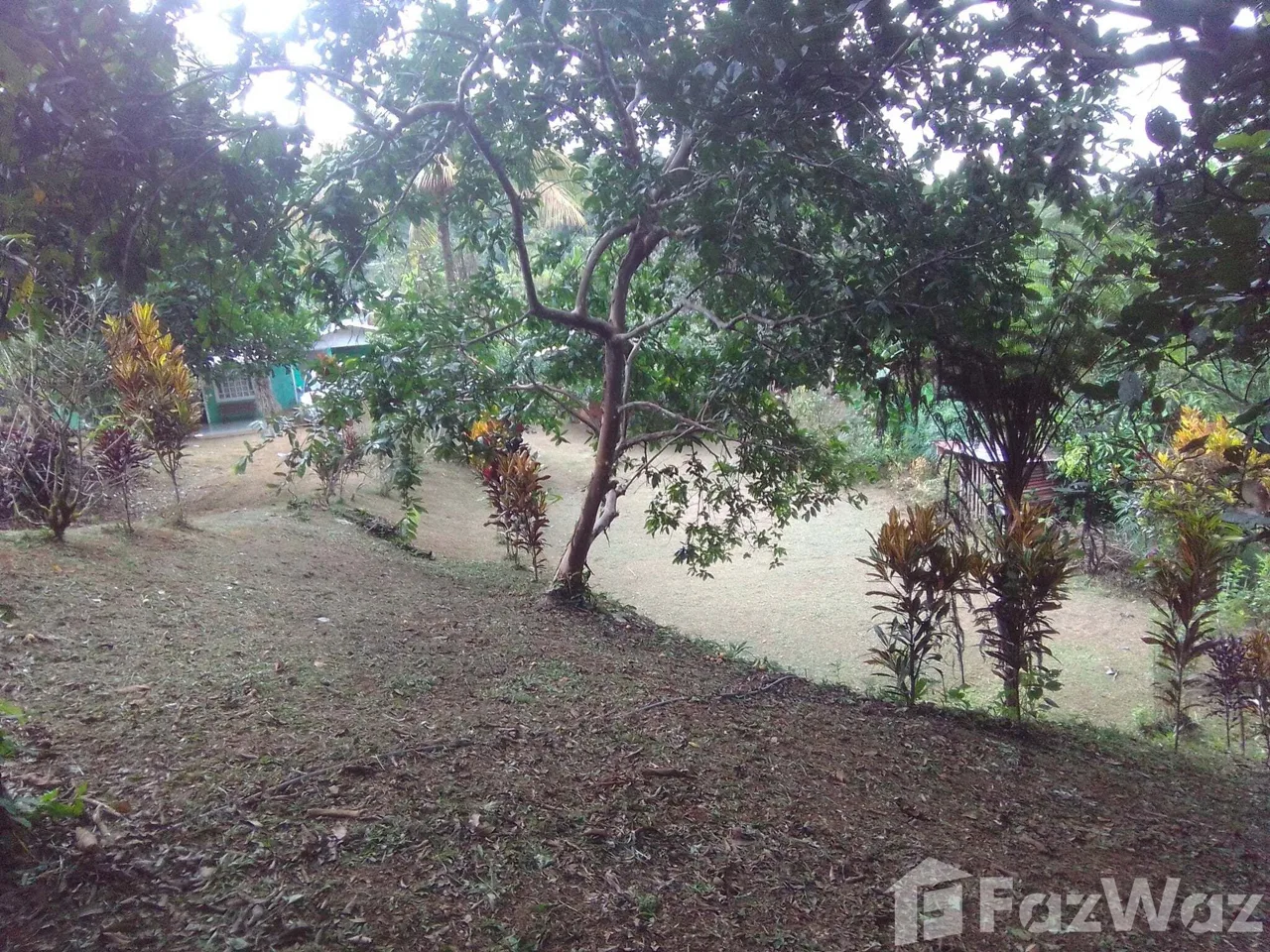 Land for Sale in Perez Zeledon, San Jose for $132,000, photo 6