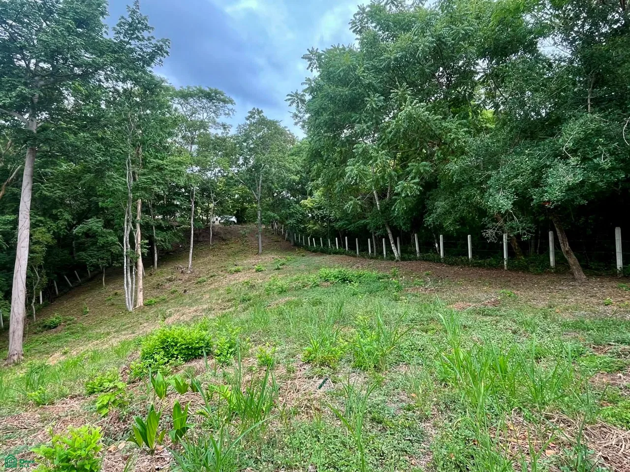 Lote Residencial de 1.625 m² con Permiso de Construcción – A 5 Minutos de Playa Grande