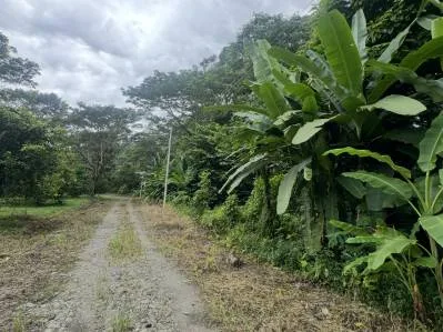 Desarrollo Sostenible entre Puerto viejo y Cahuita