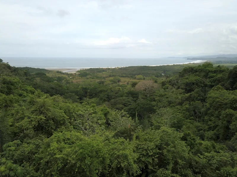3 Bed Single Family Homes For Sale in Playa Coyote, photo 3