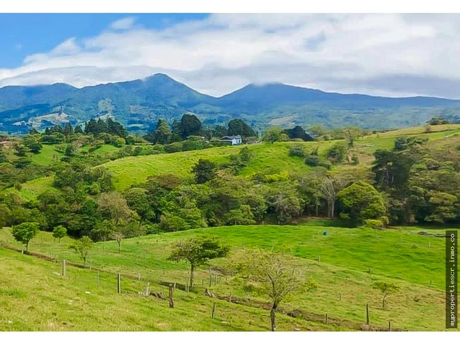 Finca lechera en producción Moravia